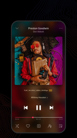 FiiO Music截图4