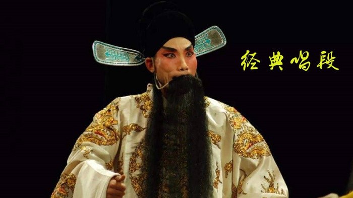 豫剧迷截图3