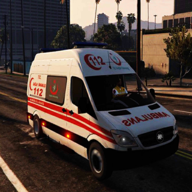 Emergency Ambulance Driver and Paramedic Simulation