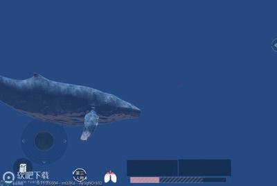 鲸鱼在战场怎么鲸鱼在战场怎么打