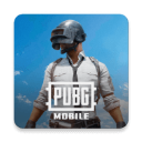 绝地求生刺激战场国际服(PUBGMOBILE)