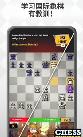 国际象棋世界[图1]