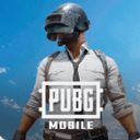 pubg国际服官方版