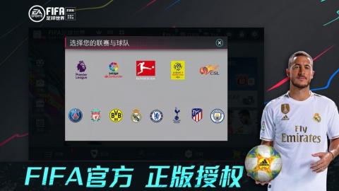 FIFA足球世界[图2]