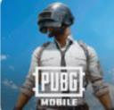 pubgmobile国际服手游官方版