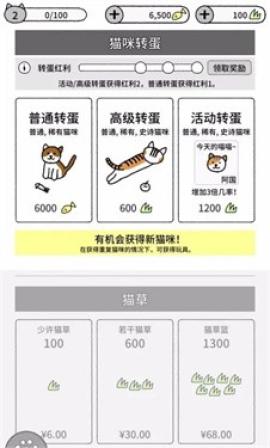 猫咪真的很可爱[图2]