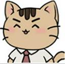 离家的猫