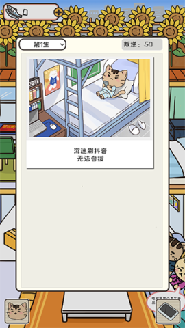 离家的猫[图3]