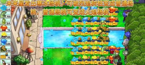 植物大战僵尸精华版[图11]