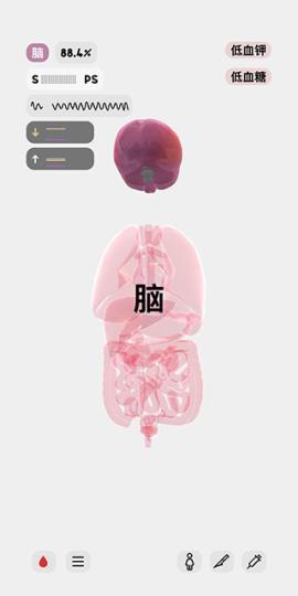 生命life[图6]