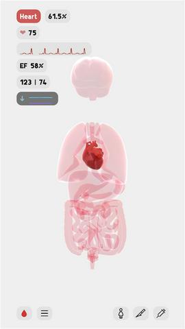 生命life截图2