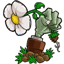 植物大战僵尸三消版