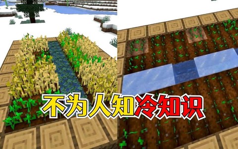 我的世界水结冰怎么办[图1]