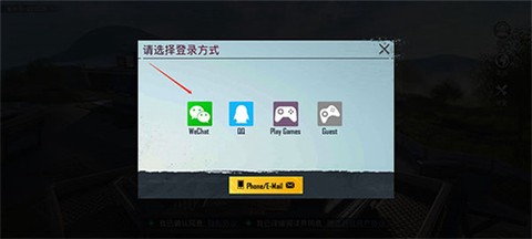 和平精英国际版[图3]