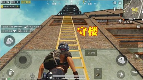 和平精英国际版[图14]