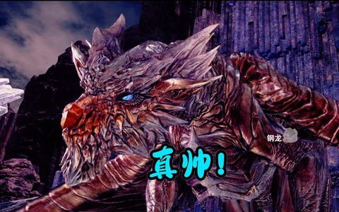 怪物猎人4钢龙怎么打[图2]