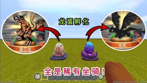 迷你世界怎么得龙蛋[图2]