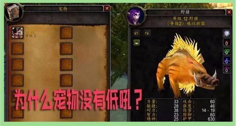 魔兽世界猎人选什么好
