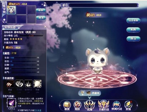 qq飞车宠物怎么飞[图1]