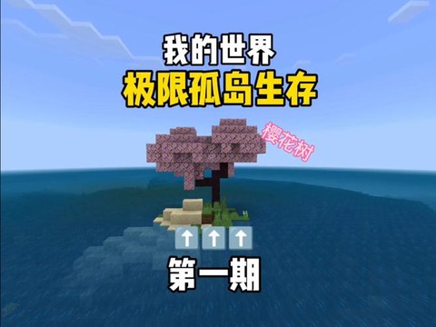 我的世界伯克岛怎么玩