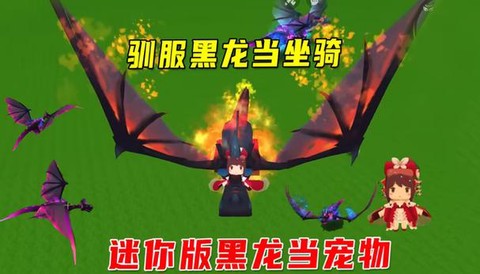 迷你世界怎么去找黑龙[图2]