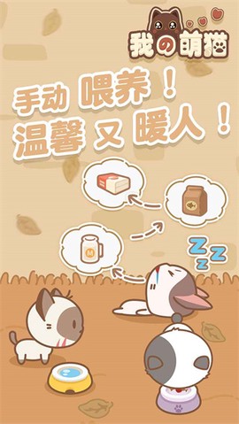 我的萌猫[图1]