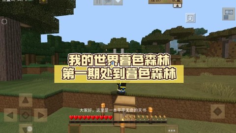 我的世界电脑版怎么去暮色森林