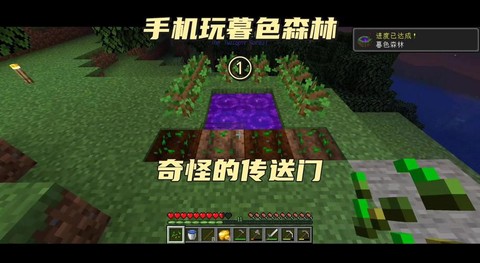 我的世界电脑版怎么去暮色森林[图1]