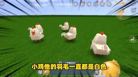 迷你世界的鸡怎么驯服