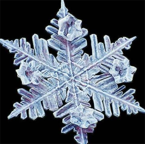 冰封利刃降临！光与影33号远征队吕涅雪结终极获取指南[图1]