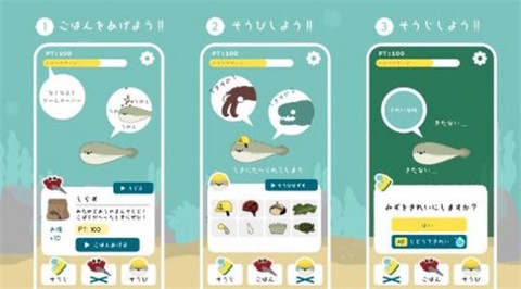 萨卡班甲鱼[图2]