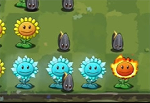 植物大战僵尸转基因版[图2]