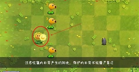 植物大战僵尸转基因版[图11]