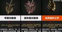 艾尔登法环米莉森的义手和翼剑徽章怎么一起获得