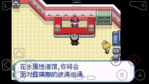 口袋妖怪剑盾[图5]