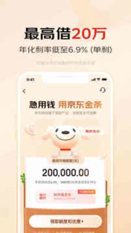 京东白条[图1]