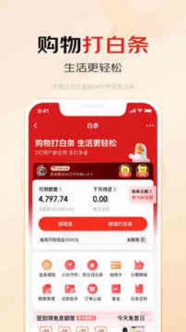 京东白条[图2]