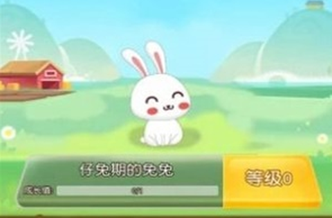 一起养兔兔[图1]