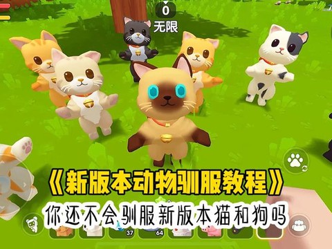 迷你世界狗狗怎么训[图2]