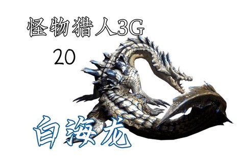 怪物猎人3g海龙怎么打[图1]