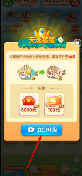 猪猪来财[图2]