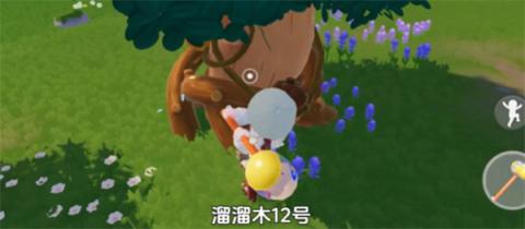 心动小镇1月4日溜溜橡木和无暇荧石采集位置[图2]
