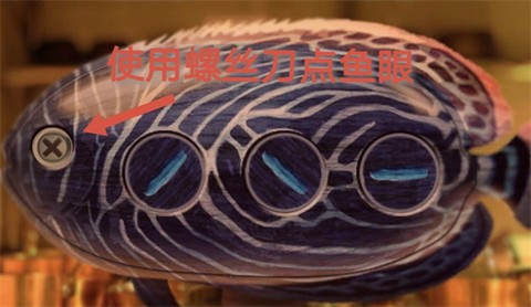 马尔代夫[图8]