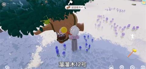 心动小镇1月11日溜溜橡木和无暇荧石采集位置[图2]