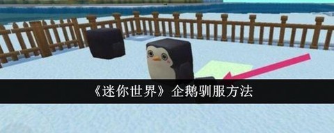 迷你世界怎么驯服冰熊
