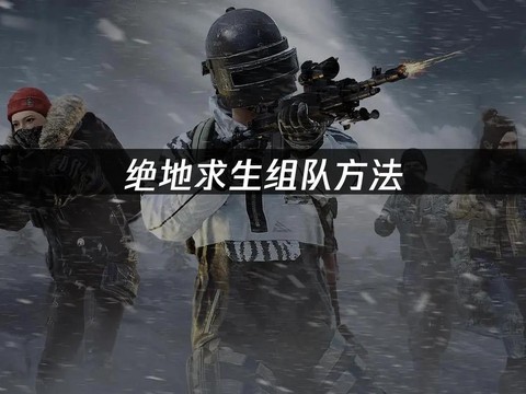 绝地求生组队怎么组队[图2]