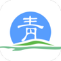 青松办