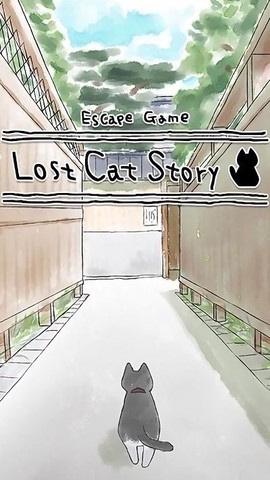迷路的猫[图1]