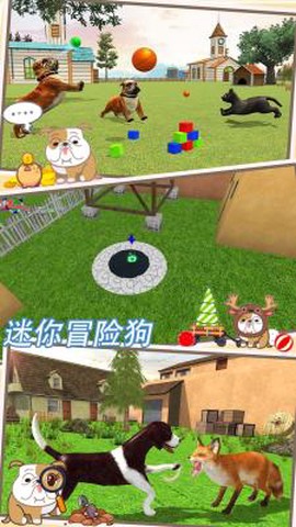 迷你冒险狗[图1]