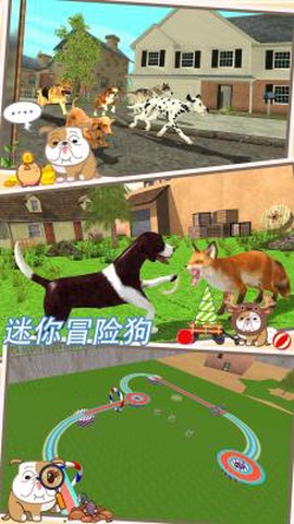 迷你冒险狗[图3]